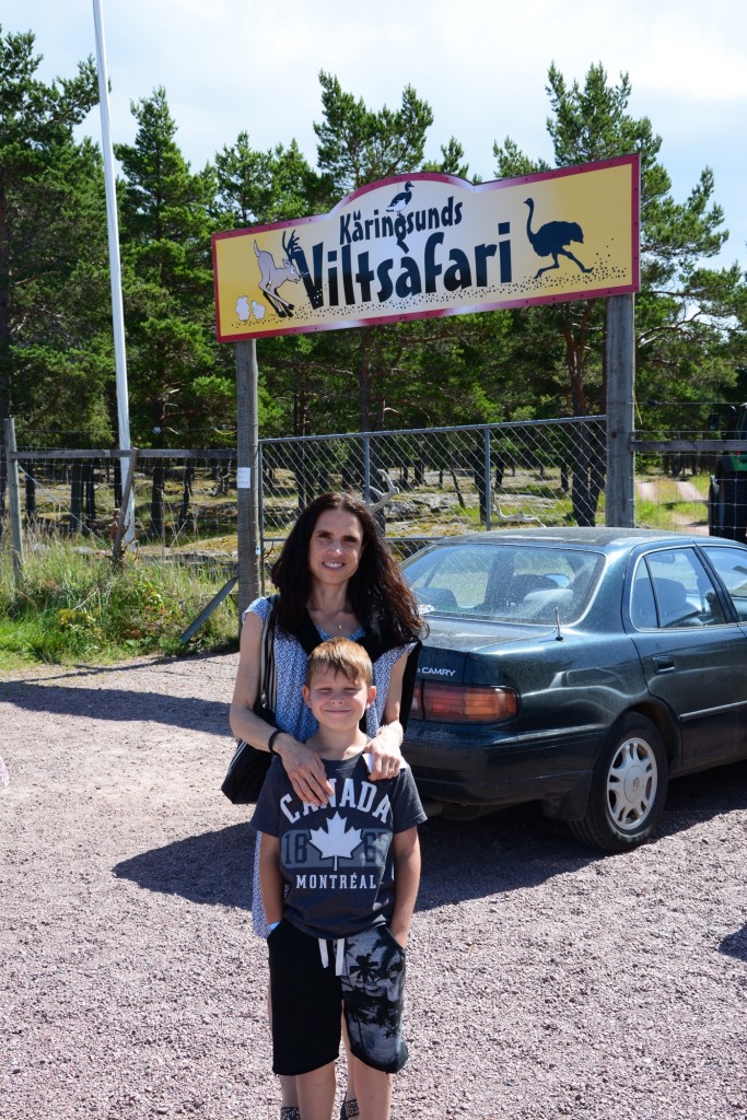 Viltsafari i år igen!