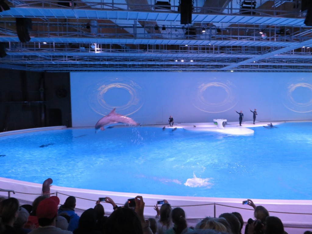 En misslyckad delfinshow utan fungerande ljus och ljud.
