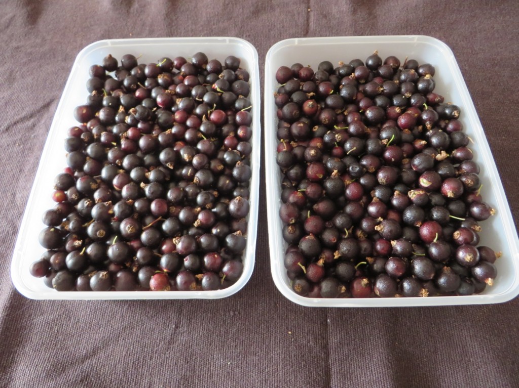 Egen härd är guld värd