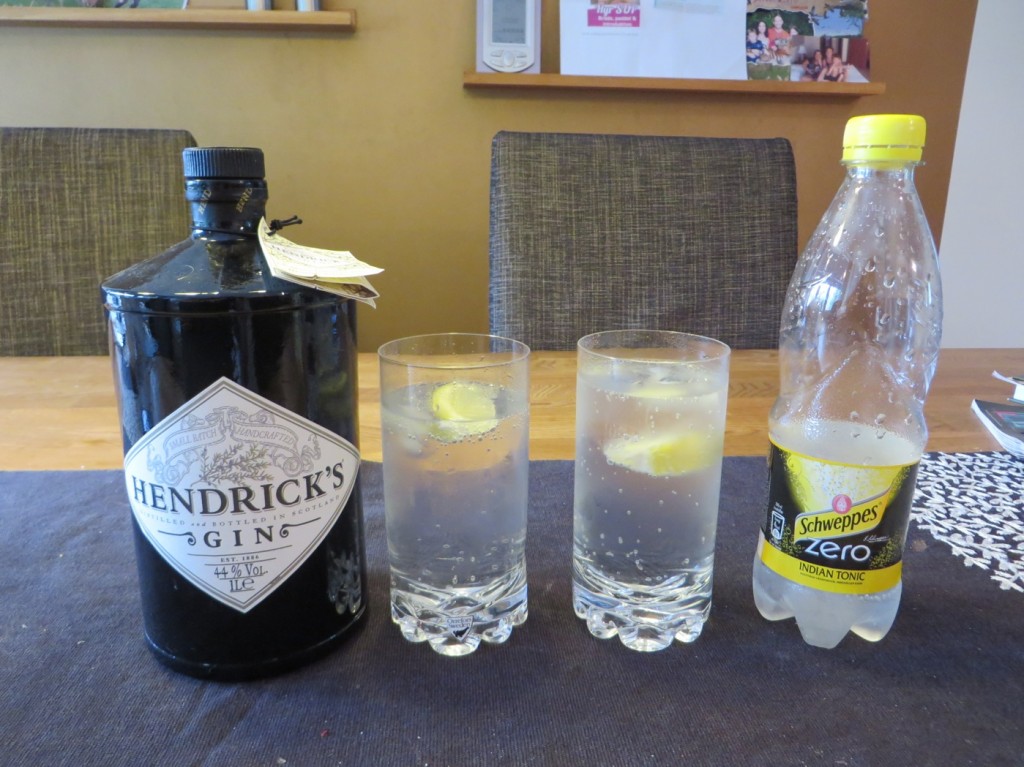 Gin och tonic