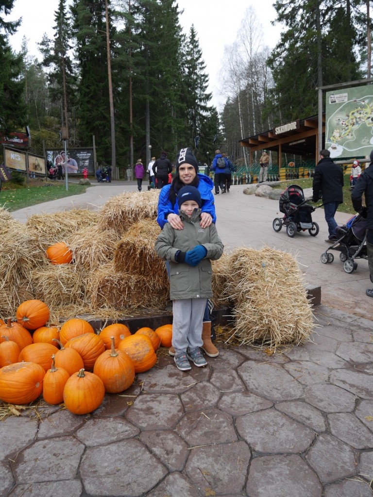 Pumpor i massor hör Halloween till.