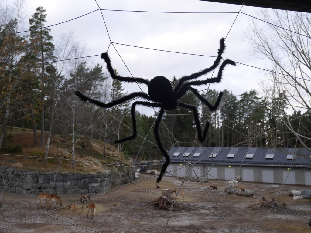 Spindlar och spindelnät som skrämmer slag på oss med spindelfobi.