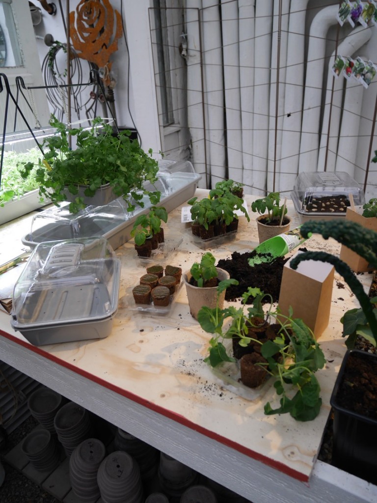 Plantera och grodda med smarta lösningar från Nelson Garden.