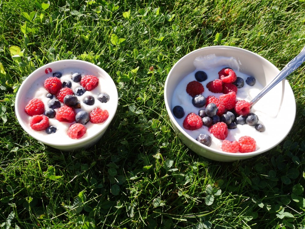 Go coconut i sommar