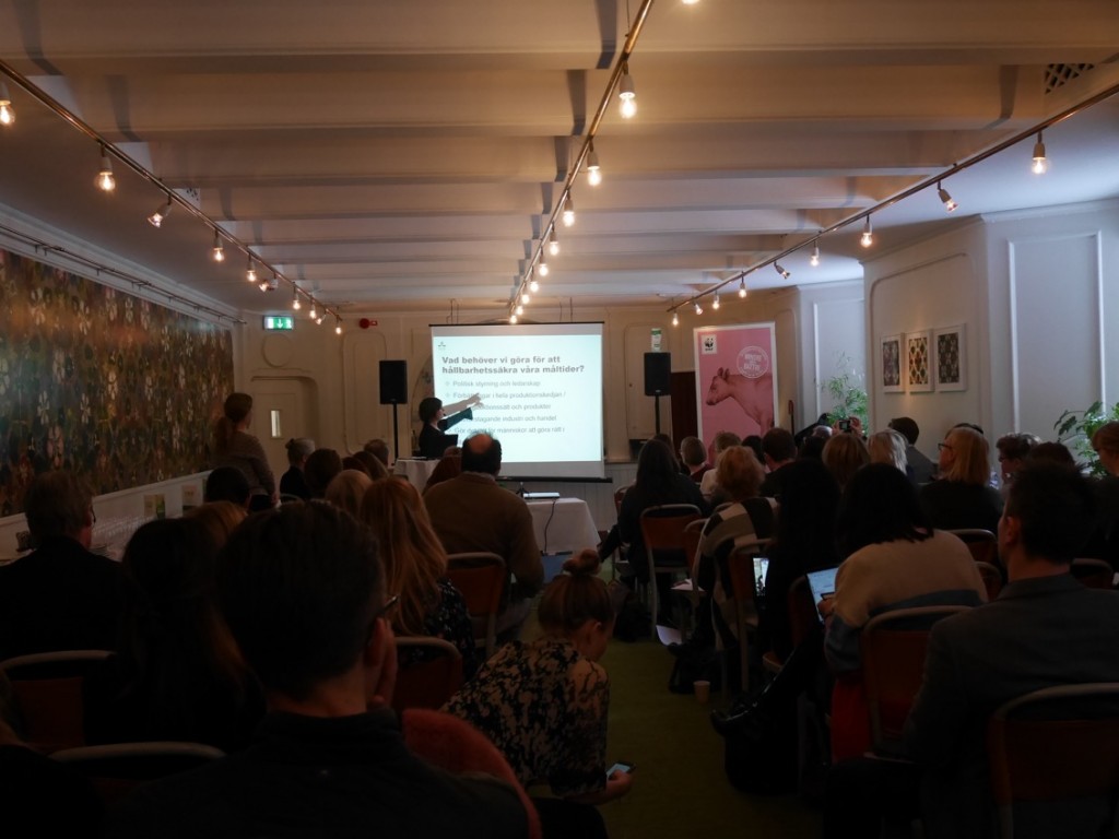 Vad behöver göras för att hållbarhetssäkra våra måltider? Elin Röös, forskare, SLU