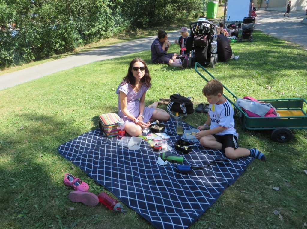 Picknick på Furuviks djurpark