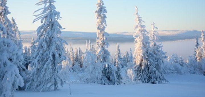 Vackra vinterlandskap!