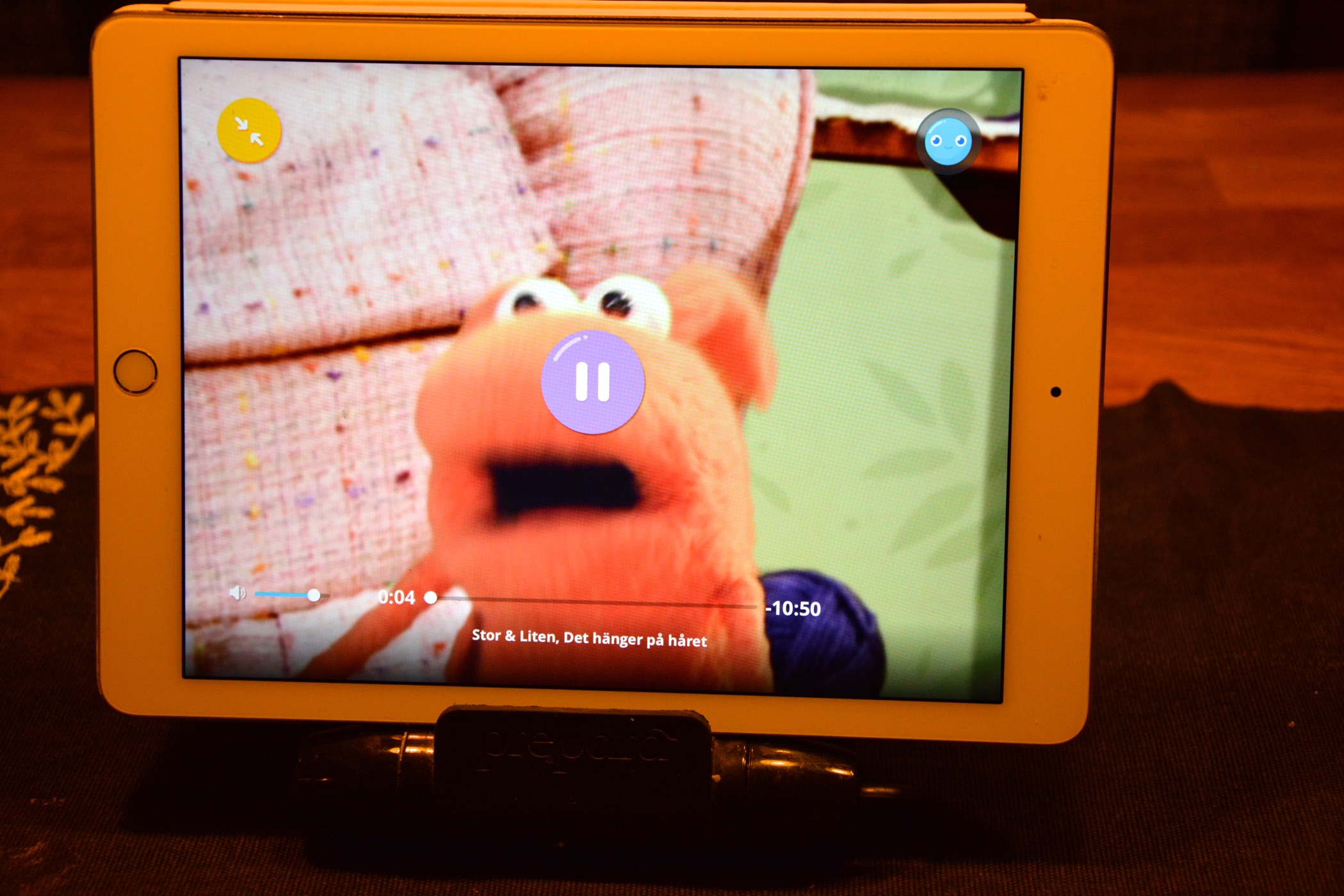 SF Kids Play Leva sunt