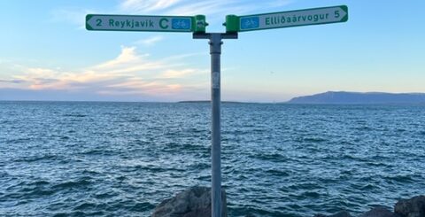 Fick mersmak av Island - så vackert!