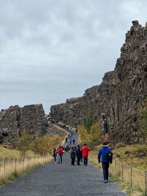  Thingvellir ligger i en sprickdal där de euroasiatiska och nordamerikanska tektoniska plattorna möts.
