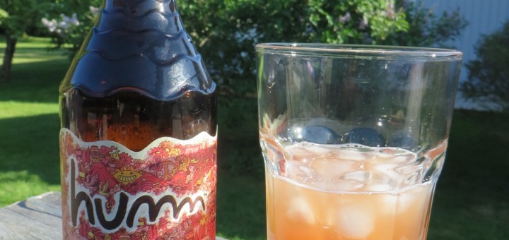 Hälsodrycken Kombucha