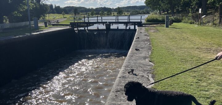 Sommarsemester 2024 började vid Göta kanal.