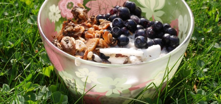 Mättande chiapudding