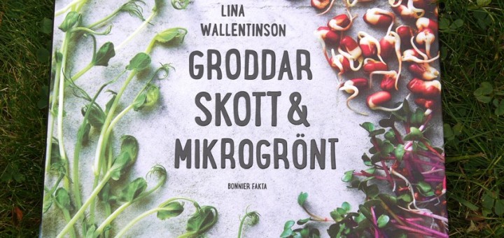 Groddar skott och mikrogrönt