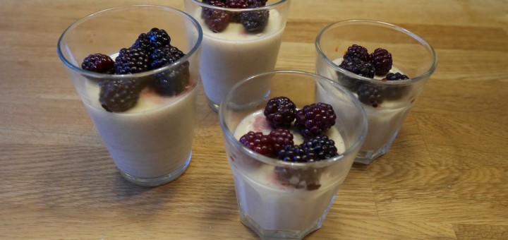 Nyttig pannacotta gjord på ProPud