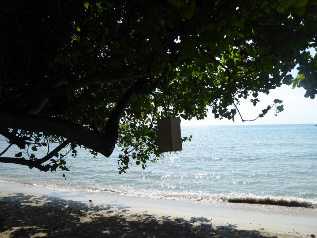 White Sand Beach.