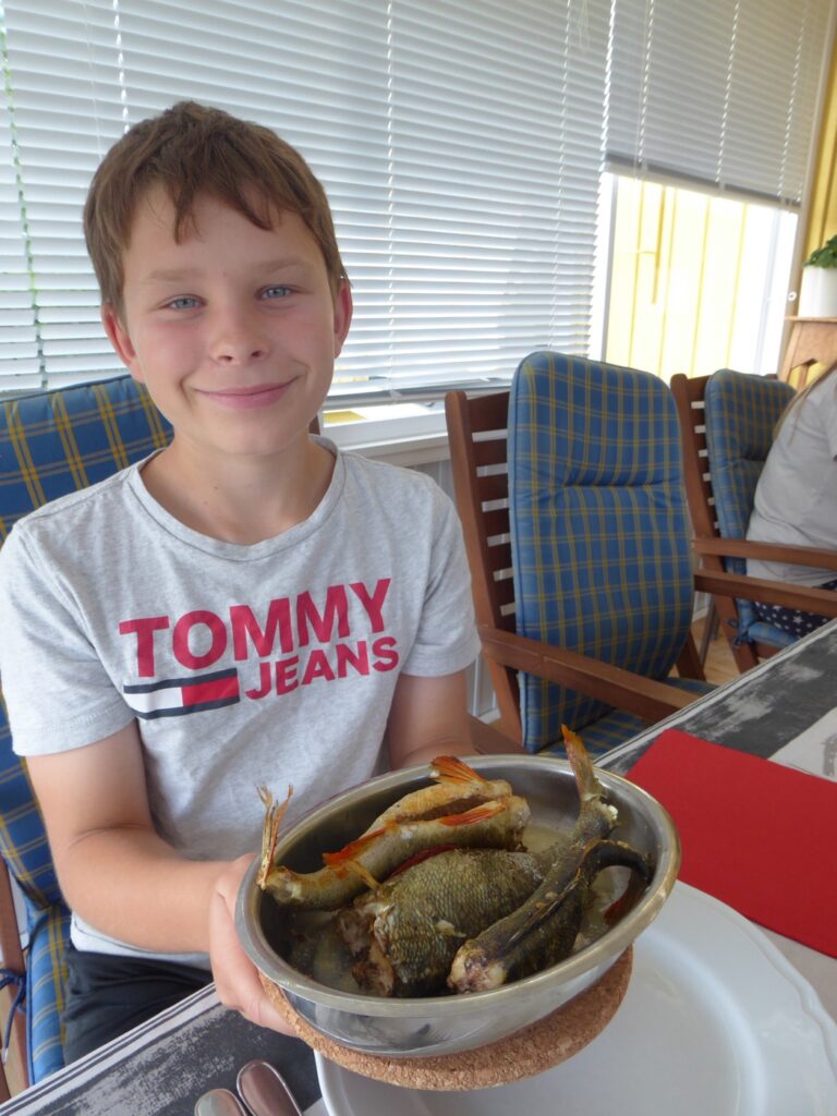 Gustaf visar stolt upp fiskefångsten. Tre abborrar och Gus var den som fiskade upp varenda en!