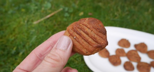 Nyttiga peanut cookies
