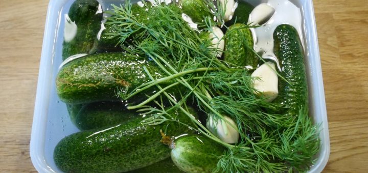Recept på inlagd gurka
