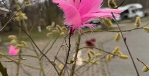 Påskfirande på Marholmen