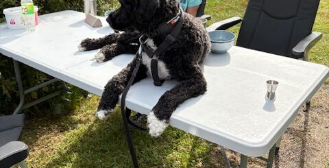 Det bästa man har sätter man på bordet :-)