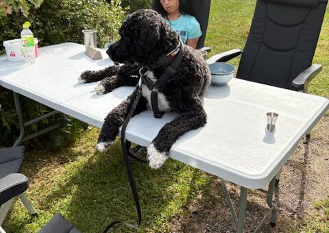 Det bästa man har sätter man på bordet :-)