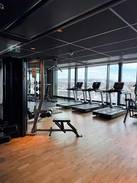 Välutrustat gym med massa konditionsmaskiner och vikter.