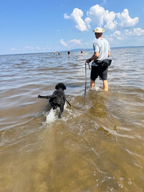 Så skönt att få ta ett dopp!