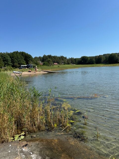 Fin liten badvik men hundar fick inte ens bada från klipporna.