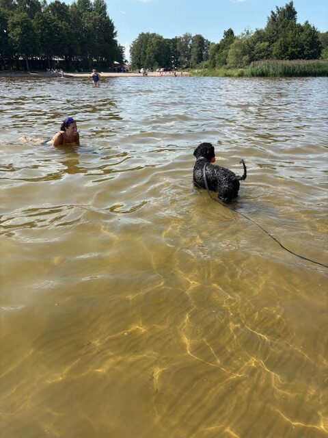 Otroligt långgrunt.