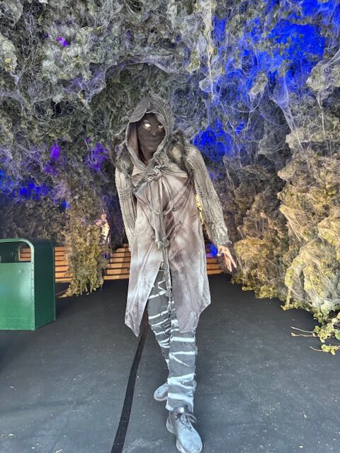 Se upp i spindelgången. Här rör sig läskiga monster!